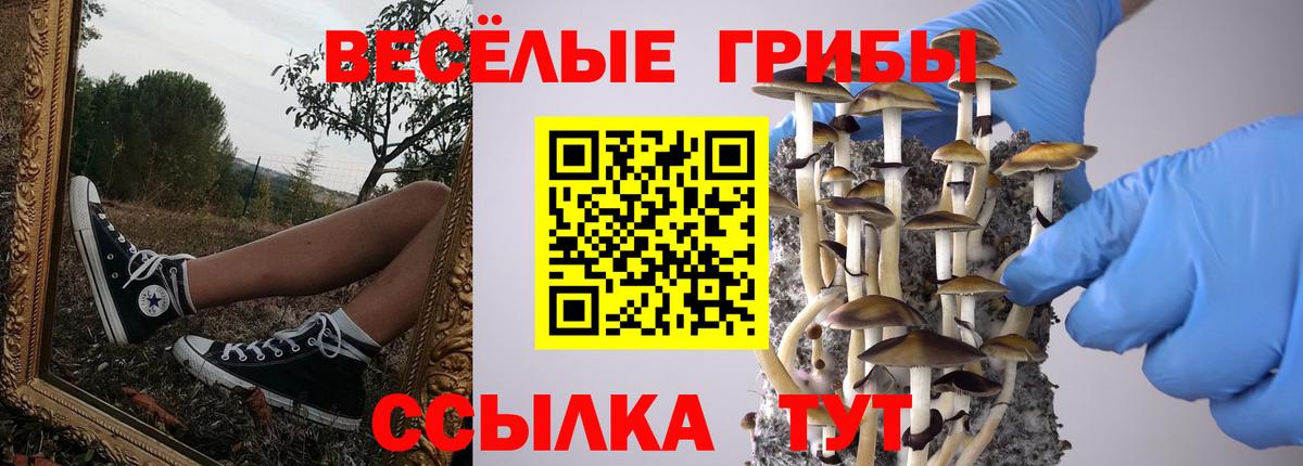 Галлюциногенные грибы ЛСД Кингисепп