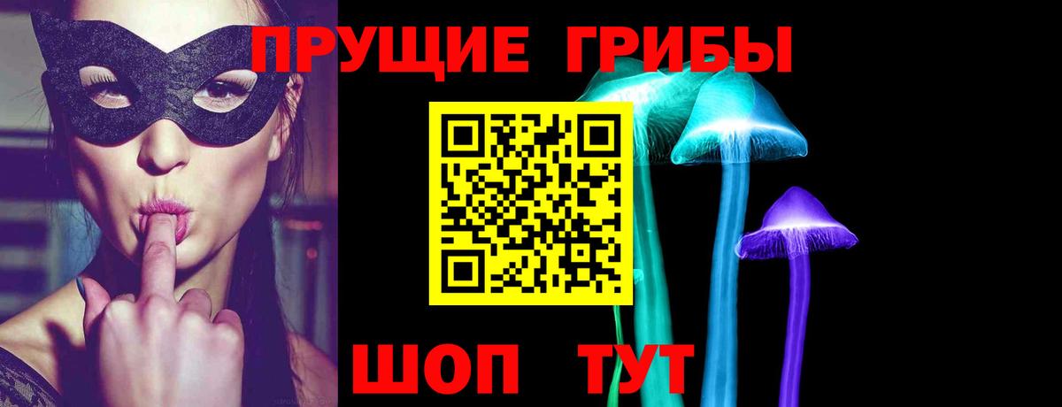 Псилоцибиновые грибы MAGIC MUSHROOMS  Галлюциногенные грибы Magic Shrooms  Кингисепп  Вход с VPN 